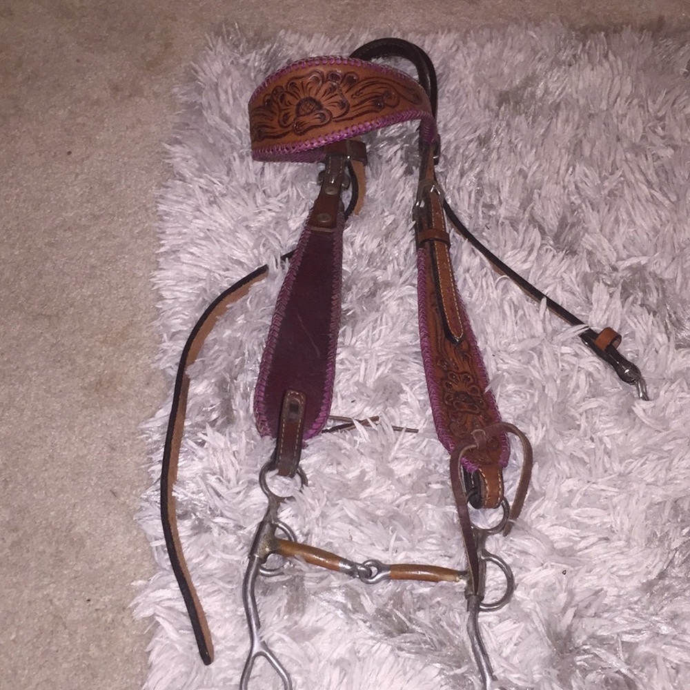 headstall